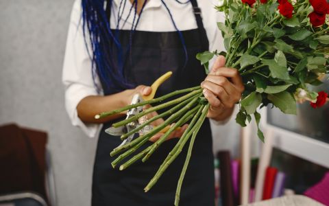 Cuida y transforma tu ramo de San Valentín